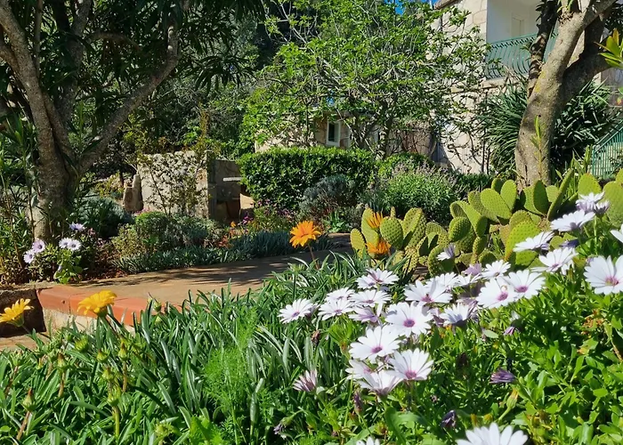 foto di Apartments Basina Vrbanj